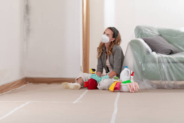 Reliable Mold Remediation contractor in Wayne, MI by WQB Mold Removal